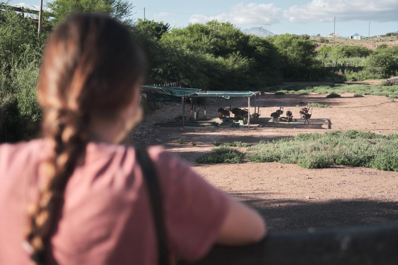 Africamps Klein Karoo Villa Оудсхорн Екстериор снимка